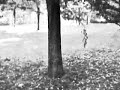 Samskeyti-Sigur-Ros