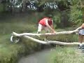 La caida de Edgar (Edgar�s fall)-Panda