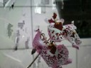 Orchids and other flowers Orchids and other flowers
