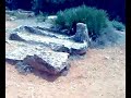 Cementerio Romano (Tipasa, ALG)