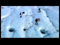 30 seconds to mars A beautiful lie