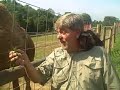 Little Ponderosa Zoo owner James Cox describes his zoo while he feeds a camel. His capuchin monkey, Earl, sits on his shoulder. More information of the Little Ponderosa Zoo may be found at littleponderosaponyrides.com/.