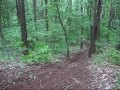 CRF450R HILL CLIMBING WRECK AND VINE SWINGING