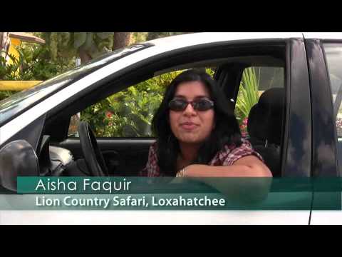 Watch 'Postcards from Palm Beach, Lion Country Safari'