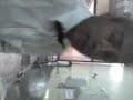 minha nada mole vida de gar�on