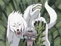 Kiba & Akamaru