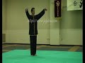 形意拳　　鶏形四把　　八勢　十二紅捶　