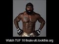 Roy Nelson vs Brendan Schaub Free