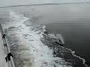 Dolphins Playing in Our Wake