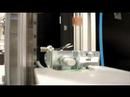 Grande projecto final de AI - FESTO