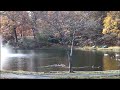 Fellsmere Pond Clip 1