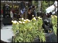 Free Love - Thursday Riot live Free Love - Thursday Riot live