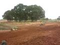 Motocross @ Mallory 4