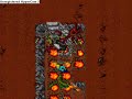 Tibia Poh hunt