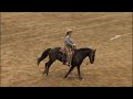 2009 Extreme Mustang Makeover Western Stampede - Idol Winner - Surplus and Careen Hammock