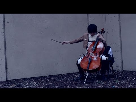 動画