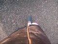 Walking in leather dress and high heels-part2 Walking in leather dress and high heels-part2
