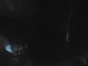 flynns-81708-excerpt-i-ternagas-toronto.html
