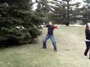 He falls from a tree...