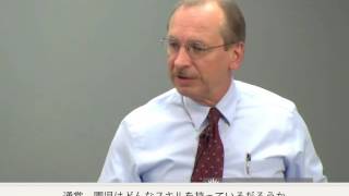 ABLLS-R®基本言語・学習スキルの
アセスメント改訂版とは(パーティングトン心理学者による講義)