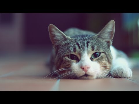 how to avoid throwing up