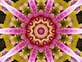 Heart Chakra Meditation