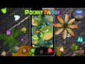 Pocket Frogs