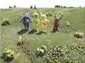 macarena - teletubies