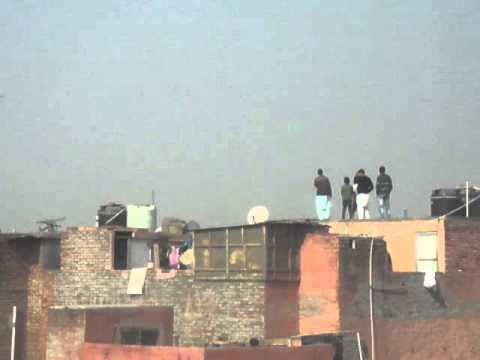 indian pigeon - This race was between Ustad Pummy V/S Khalifa Mohsin. Location:- Old Delhi, India. Time:- 28th January.2013....from 11 a.m to 12:45 p.m. The birds in the vid...