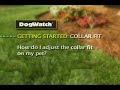 Tip 5 - Finding the Proper Collar Fit