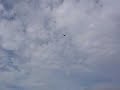 Red Bull Air Race - Rio de Janeiro - Loop Red Bull Air Race - Rio de Janeiro - Loop