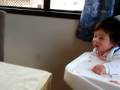 videos de Meus Filhotes