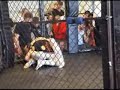 Johan Wedenius vs Jon Henrik Ludvigsen
