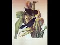 The crow and the blackbird-Edmundo Ros Rhumba band The crow and the blackbird-Edmundo Ros Rhumba band