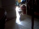 kukay