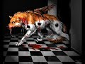 farkas-k-pek-wolf-screens-.html