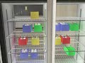 Pharmacy Cleanroom and Workroom Environment