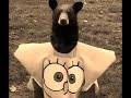 SPONGEBEARWARD