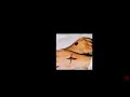 SWF to WMV test SWF to WMV test