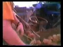 Potato Harvest 1990