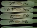 I ovulated in my 1st cycle of clomid but i have 2 positive results one for 18th one for the 19th.but i took a opk on February 3rd just to be doing it and it was positive i didn't know it was positive though because i didn't know how to read them.