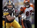 Troy Polamalu Troy Polamalu