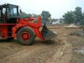 Wheel Loader Coupling Up with GP Bucket