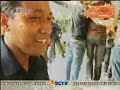 penyanyi jalanan(ungu)