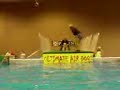 ultimate-air-dogs-dock-diving-at-the-super-pet-expo-i.html