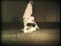 videos de 38-UraNage