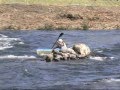 平成20年度全日本カヌーワイルドウォーター選手権大会