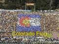 Cal vs. Colorado State Card Stunt Show