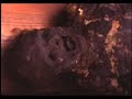 See to Believe: Human Oddities