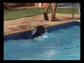 DOBERMANN - KEVIN COSTNER DOBERMANN - KEVIN COSTNER